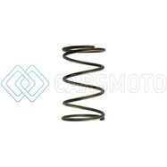 TURBOSMART TS-0550-3092 GEN-V WG60 14PSI BROWN OUTER SPRING