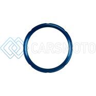 TURBOSMART TS-0505-3020 BOV RACEPORT & IWG LOCKING COLLAR - BLUE