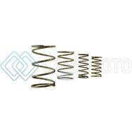 TURBOSMART TS-0550-3152 GEN V WG60 SPRING REPLACEMENT KIT