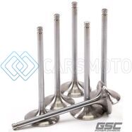 GSC POWER-DIVISION GSC2214-06 КЛАПАНЫ ВПУСКНЫЕ 30 ММ ДЛЯ CAN-AM MAVERICK TURBO