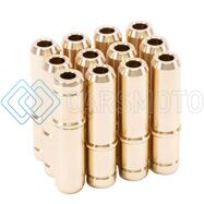 GSC POWER-DIVISION GSC3132-12 НАПРАВЛЯЮЩИЕ ВПУСКНЫХ КЛАПАНОВ ДЛЯ BMW B58/S58