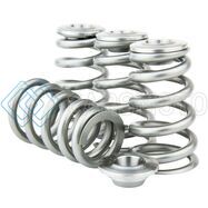 GSC POWER-DIVISION GSC5087 ПРУЖИНЫ КЛАПАНОВ С ТИТАНОВЫМИ ТАРЕЛКАМИ ДЛЯ NISSAN TB48