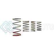 TURBOSMART TS-0600-2011 GEN V IWG SPRING REPLACEMENT KIT