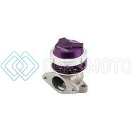 TURBOSMART TS-0551-1013 WG38 GEN V ULTRAGATE 38 14PSI PURPLE
