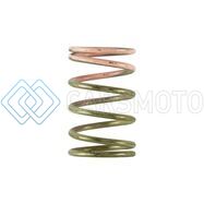 TURBOSMART TS-0600-2008 GEN V IWG 7PSI SPRING REPLACEMENT
