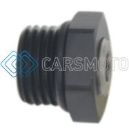 DEATSCHWERKS 6-02-0730-B 6AN ORB PLUG FITTING WITH 1/8" NPT PORT