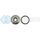 DEATSCHWERKS 6-02-0719 10AN ORB PLUG, LOW PROFILE W/ HEX