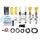 KW 39020017 КОМПЛЕКТ ВИНТОВОЙ ПОДВЕСКИ DDC ECU ДЛЯ BMW 3 SERIES (F30)