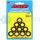 ARP 200-8769 9/16 ID 1.00 OD CHAMFER WASHERS (10 PACK)