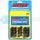 ARP 203-6002 TOYOTA 22R ROD BOLT KIT