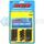 ARP 206-6002 BMC A & B SERIES 11/32IN ROD BOLT KIT