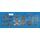 ARP 534-9505 CHEVY SMALL BLOCK LS SERIES 12PT ENGINE AND ACCESSORY BOLT KIT