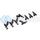 DEATSCHWERKS 17U-06-1000-8 1000CC - AUDI S4/RS6/S6/S8 4.2L V8, TITAN 5.6L