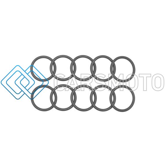 DEATSCHWERKS 6-02-0310 ORB 12AN VITON O-RING (PACK OF 10)