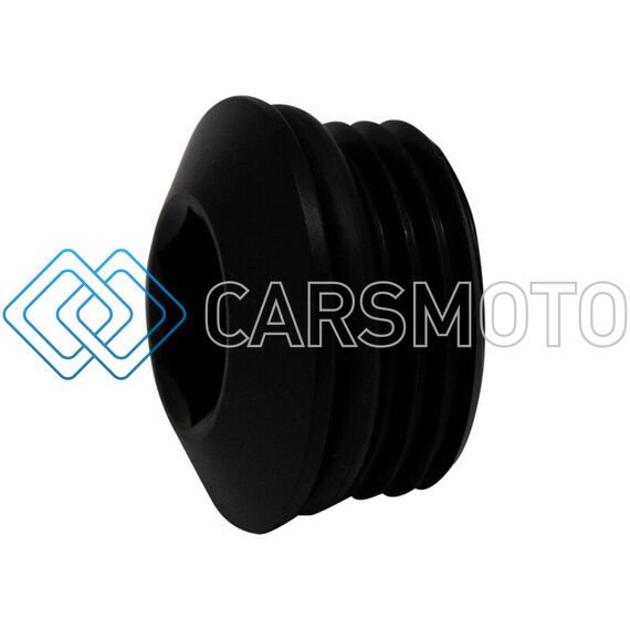 DEATSCHWERKS 6-02-0719-B 10AN ORB PLUG, LOW PROFILE W/ HEX