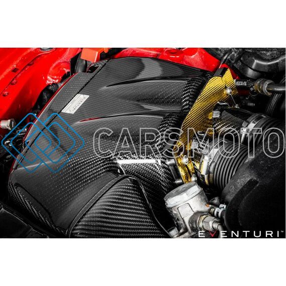 EVENTURI EVE-C7S6-CF-INT ВПУСКНАЯ СИСТЕМА BLACK CARBON ДЛЯ AUDI C7 S6 / S7