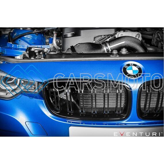 EVENTURI EVE-N20-CF-INT ВПУСКНАЯ СИСТЕМА BLACK CARBON ДЛЯ BMW N20 (120I, 220I, 320I, 328I)