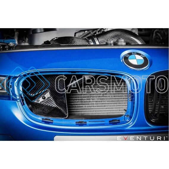EVENTURI EVE-N20-CF-INT ВПУСКНАЯ СИСТЕМА BLACK CARBON ДЛЯ BMW N20 (120I, 220I, 320I, 328I)
