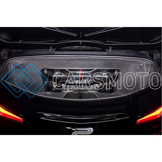 EVENTURI EVE-Z06VT-CF-INT ВПУСКНАЯ СИСТЕМА CARBON ДЛЯ C8 Z06 COUPE