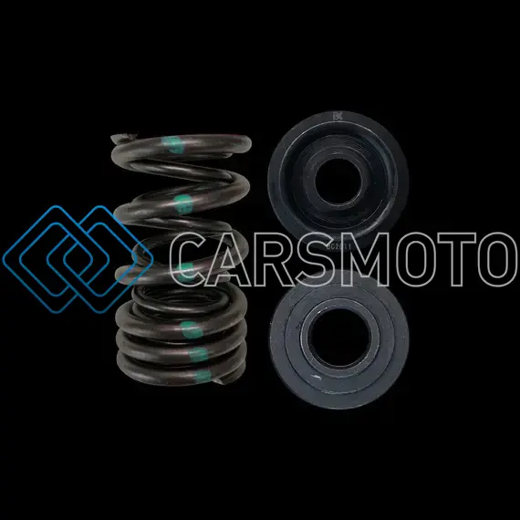 BRIAN CROWER BC0020S HONDA/ACURA B18A/B18B/B20B DUAL SPRING & STEEL RETAINER KIT