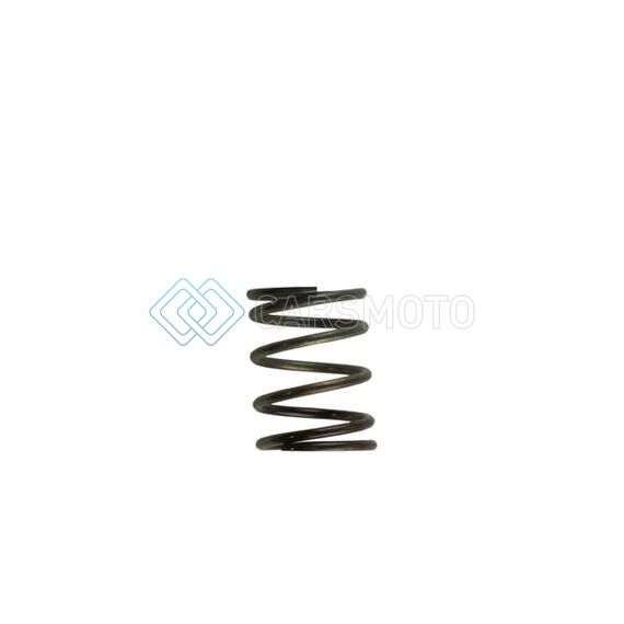 TURBOSMART TS-0505-2002 WG40 5PSI INNER SPRING BROWN/GREY
