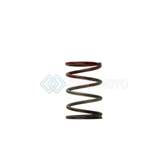 TURBOSMART TS-0505-2004 WG40 11PSI MIDDLE SPRING BROWN/RED