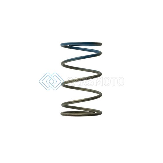 TURBOSMART TS-0505-2005 WG40 10PSI OUTER SPRING BROWN/BLUE