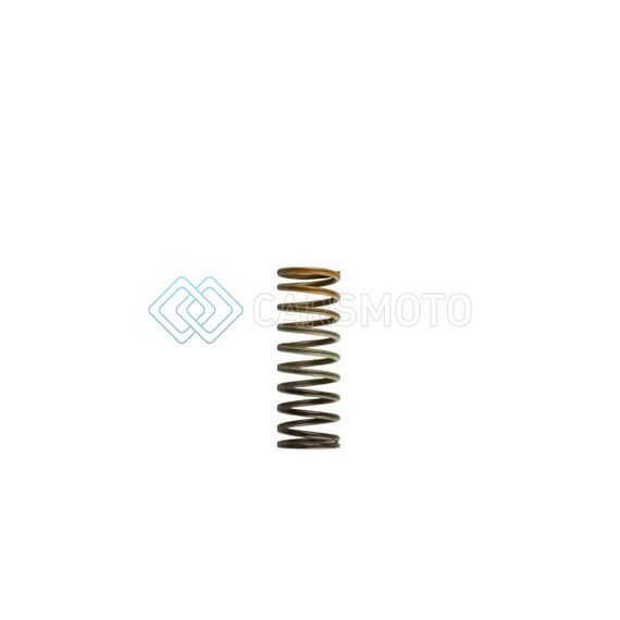 TURBOSMART TS-0505-2012 WG 38/40/45 HP 10 PSI INNER SPRING BROWN / ORANGE