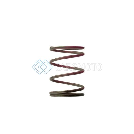 TURBOSMART TS-0505-2006 2011 WG38/40/45 7PSI OUTER SPRING BROWN/PINK
