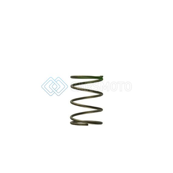 TURBOSMART TS-0550-3087 GEN-V WG45/50 7PSI GREEN MIDDLE SPRING