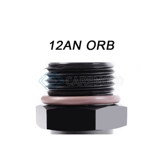 RADIUM ENGINEERING 14-0434 12AN ORB TO 12AN MALE REMOTE FITTING