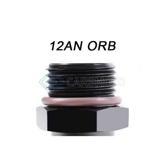 RADIUM ENGINEERING 14-0688 12AN ORB PLUG