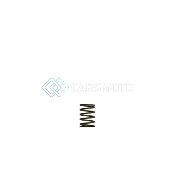 TURBOSMART TS-0550-3081 GEN-V WG38/40 3PSI BLACK INNER SPRING