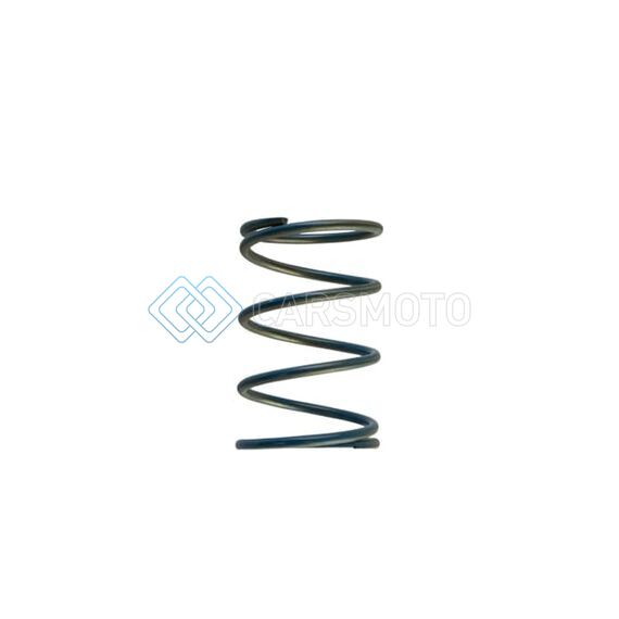 TURBOSMART TS-0550-3088 GEN-V WG45/50 14PSI BLUE OUTER SPRING