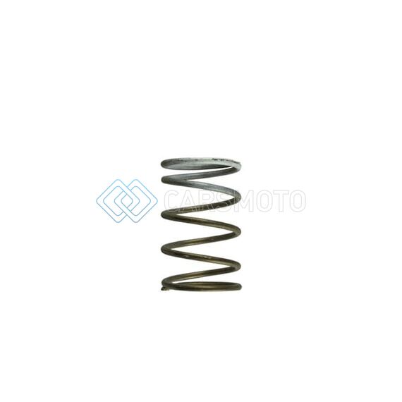 TURBOSMART TS-0550-3091 GEN-V WG60 7PSI WHITE MIDDLE SPRING