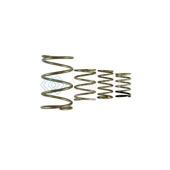 TURBOSMART TS-0550-3150 GEN V WG38/40 SPRING REPLACEMENT KIT