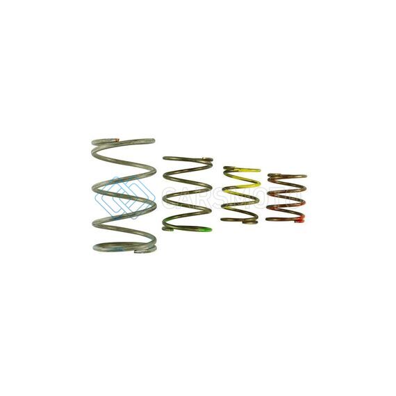 TURBOSMART TS-0550-3151 GEN V WG45/50 SPRING REPLACEMENT KIT