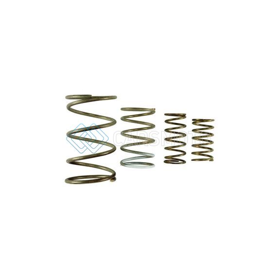TURBOSMART TS-0550-3152 GEN V WG60 SPRING REPLACEMENT KIT