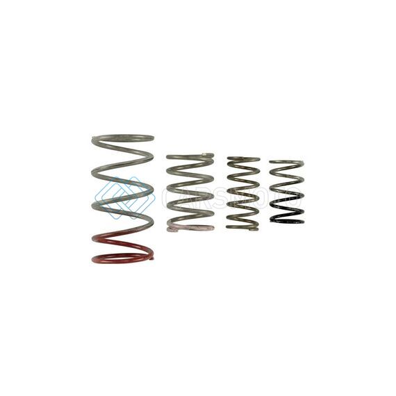 TURBOSMART TS-0600-2011 GEN V IWG SPRING REPLACEMENT KIT
