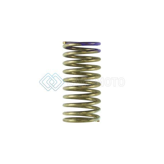 TURBOSMART TS-0208-9008 BOV PRO PORT 9 INHG - PURPLE