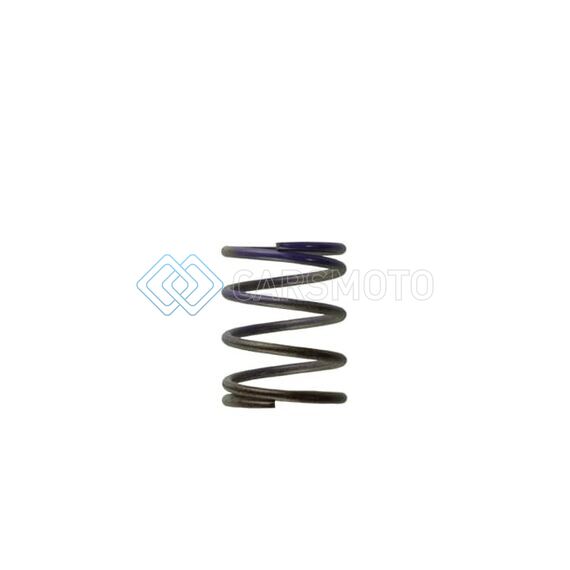 TURBOSMART TS-0505-2003 WG40 7PSI MIDDLE SPRING BROWN/PURPLE