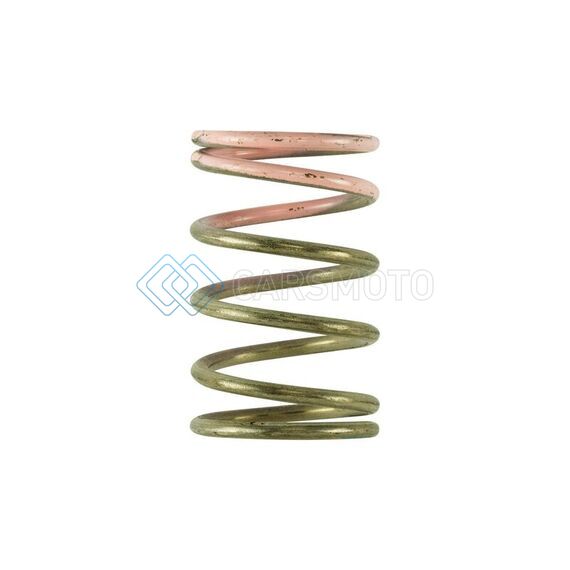 TURBOSMART TS-0600-2008 GEN V IWG 7PSI SPRING REPLACEMENT