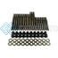 WAGNER TUNING P101102010.BR VW VR6 OEM HEAD STUD SET - BURNISHED