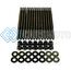 WAGNER TUNING P102081410.BR BMW S55 ENGINE OEM HEAD STUD SET - BURNISHED
